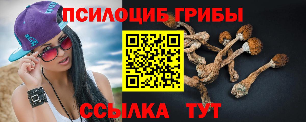 Псилоцибиновые грибы прущие грибы Волжск